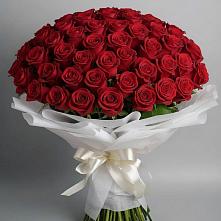 Букет 101 Красная роза Блэк Мэджик в Емельяново