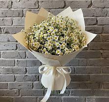 Букет цветов из:  Ромашки в Емельяново