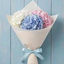 Букет цветов из:  Гортензия в Емельяново