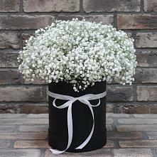 Цветочная композиция из Гипсофила в шляпной коробке в Емельяново