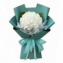 Букет цветов из:  Гортензия в Емельяново